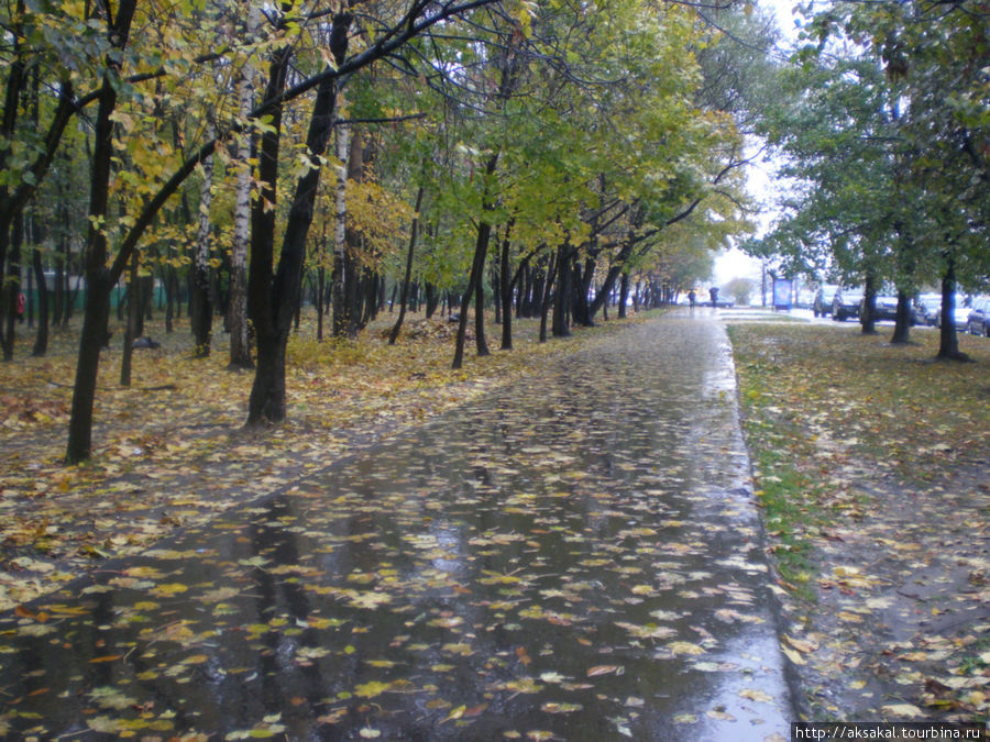 Осень в Выхино.2008 г. Москва, Россия