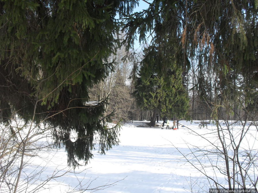 Еще зимний Шуваловский парк Санкт-Петербург, Россия