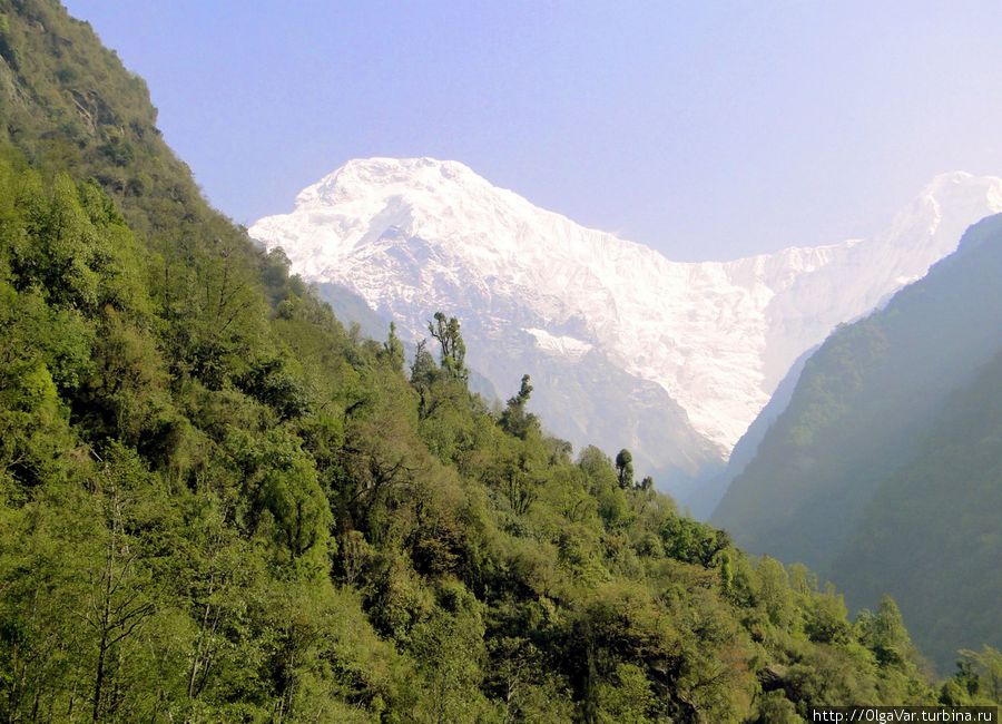 Куда рвётся душа Национальный парк Аннапурны, Непал