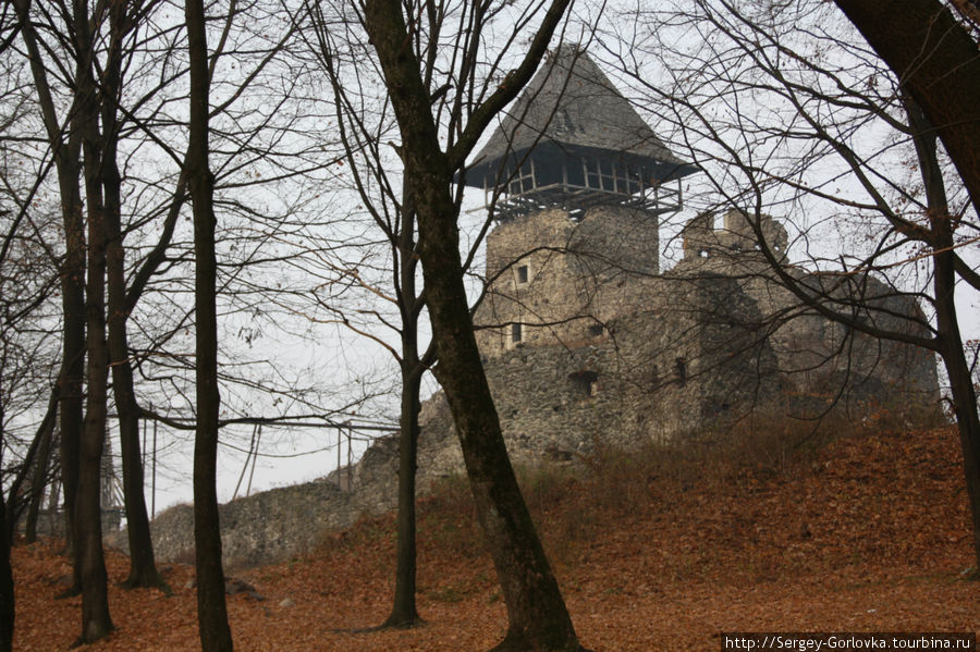 Невицкий замок Ужгород, Украина