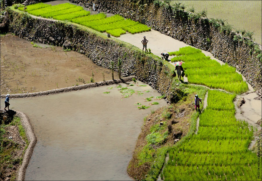 Рисовые террасы Батада Банауэ Рисовые Террасы, Филиппины