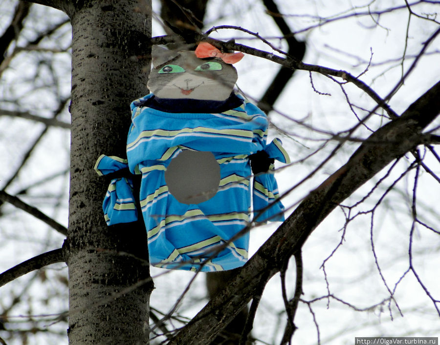 Впрочем, не только птицы облюбовали старые деревья... Екатеринбург, Россия