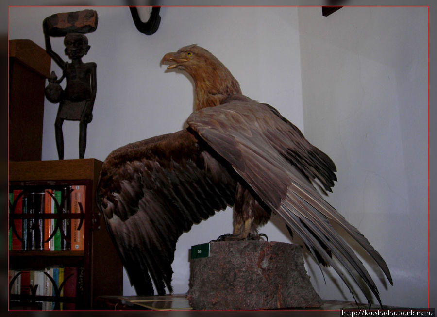 Музей Африки- трофеи заядлого охотника Балатонэдерич, Венгрия