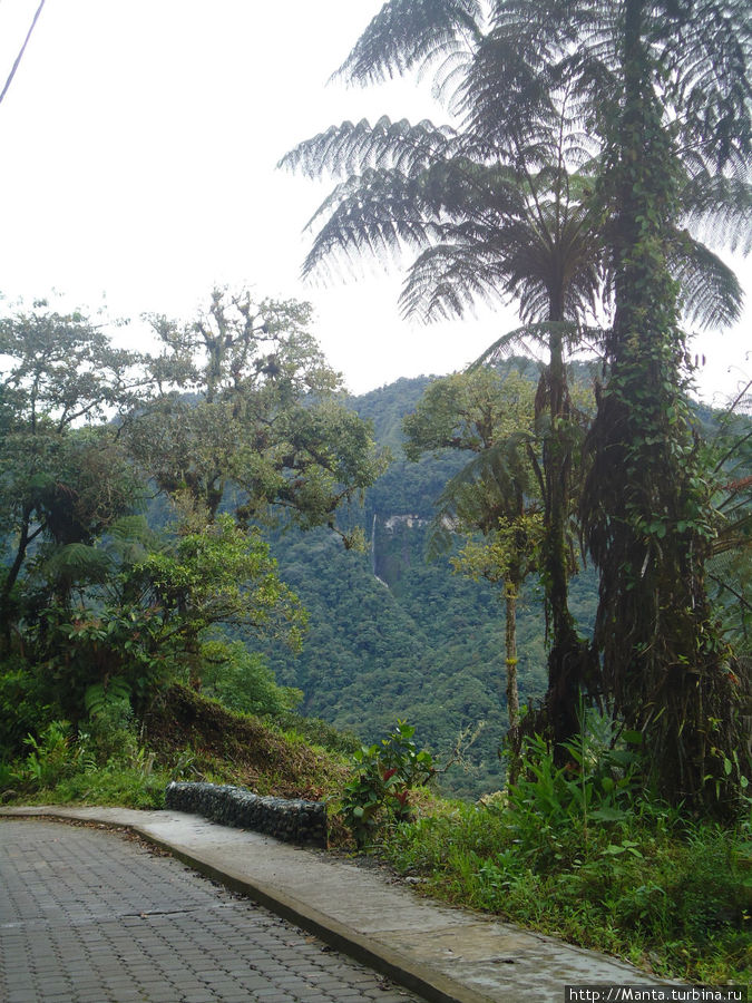 По всей дороге часто попадались водопады, иногда очень высокие. Сан-Рафаэль (водопад), Эквадор