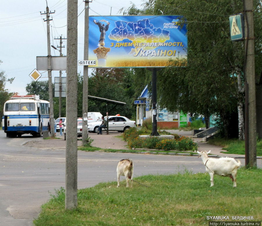 ...Оглядимся. Пасутся у проезжей части, привязанные к уличному фонарю, козы. Старый львовский автобус, подкатил к остановке и пыхтит на последних оборотах... Партия регионов поздравляет Украину со Днем независимости... Бердичев, Украина