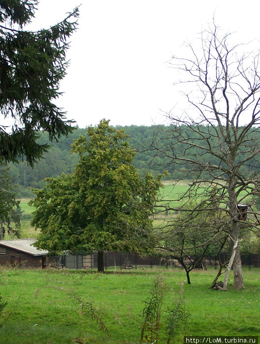 Пражский зоопарк Прага, Чехия