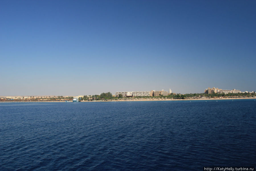 Ближе к красному морю и арабам. Хургада 2011. Хургада, Египет