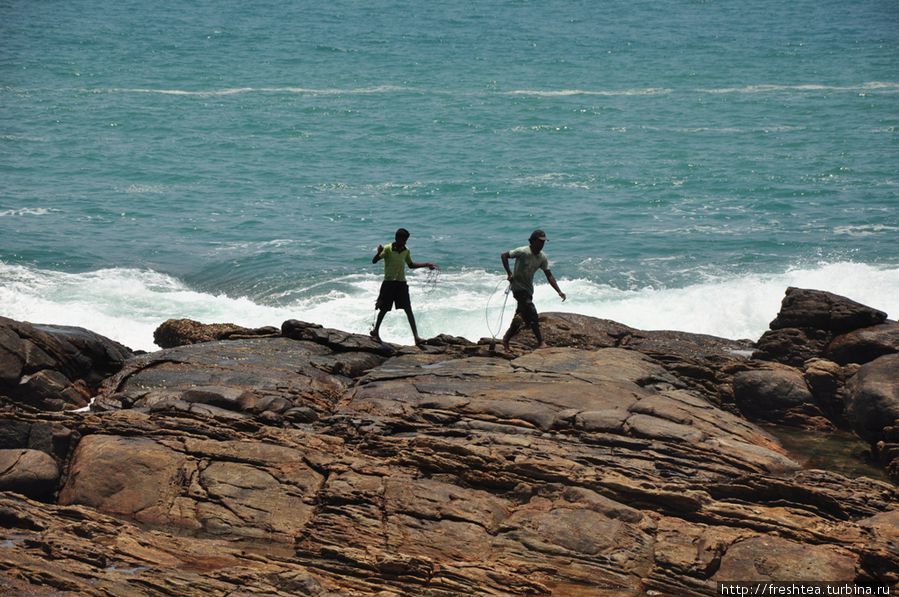Неуемный океан и рыбаки. Шри-Ланка