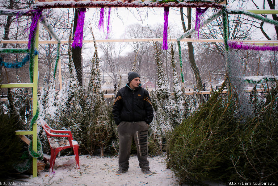 День перед Рождеством или Скоро Новый год