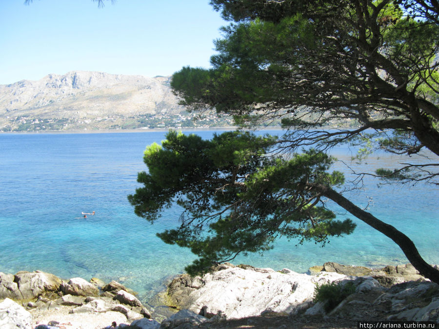 Цавтат: пахнет морем и хвоей Цавтат, Хорватия