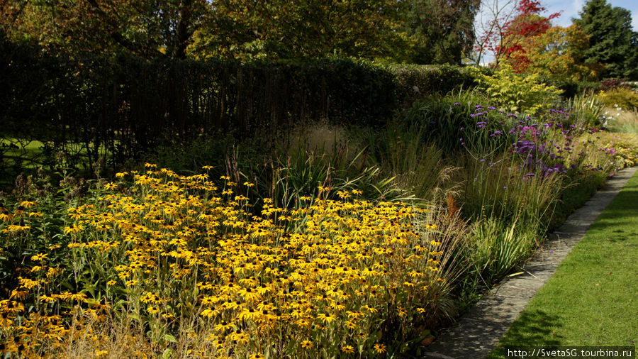Осень в Ботаническом саду в Шеффилде. Сентябрь 2011г. Шеффилд, Великобритания