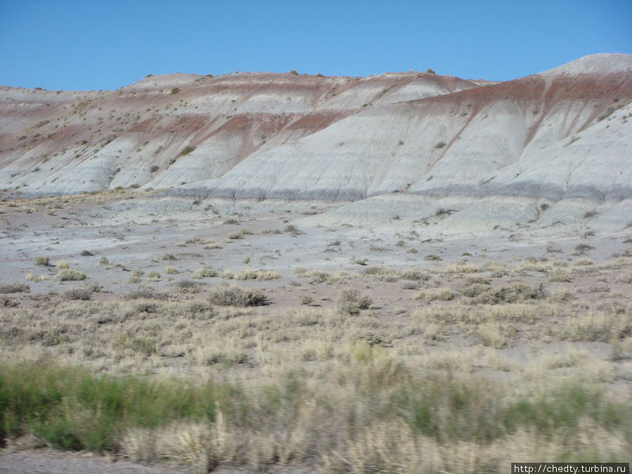 На склонах холмов по разноцветным минералам можно проследить геологические события происходившие десятки миллионов лет назад. Петрифайед Форест. CША