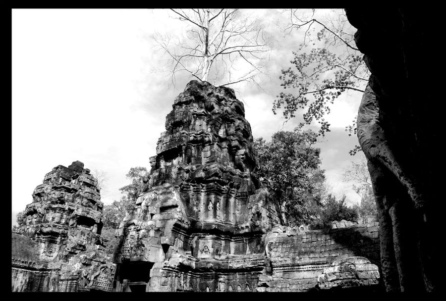 Храм, взятый в плен деревьями Ангкор (столица государства кхмеров), Камбоджа