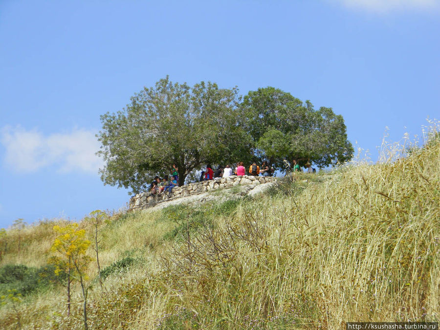 На вершине одного из холмов в тени двух деревьев есть обзорная площадка с каменными скамейками Иерусалимский округ, Израиль