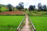 По деревянному мосту через рисовое поле