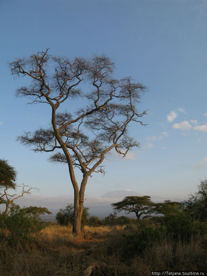 В деревушке Масаев Масаи-Мара Национальный Парк, Кения