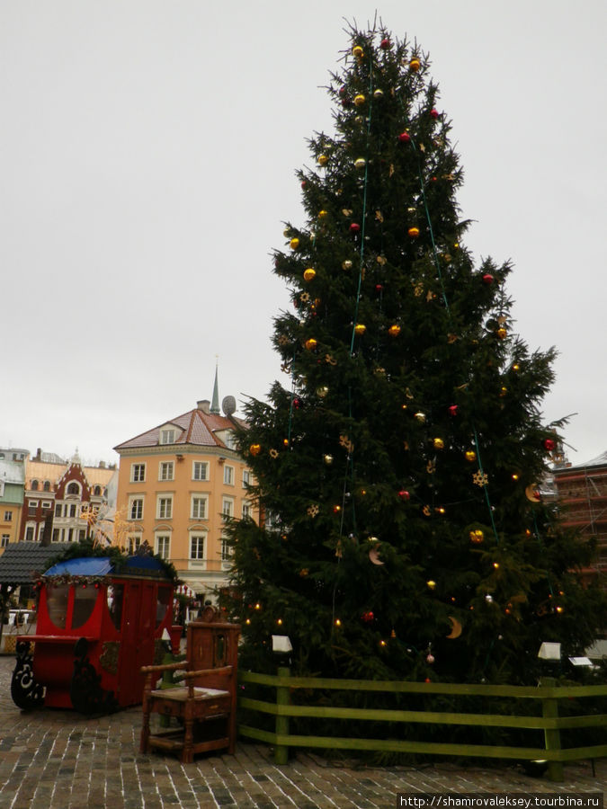 Путь Рождественских Ёлок Рига, Латвия
