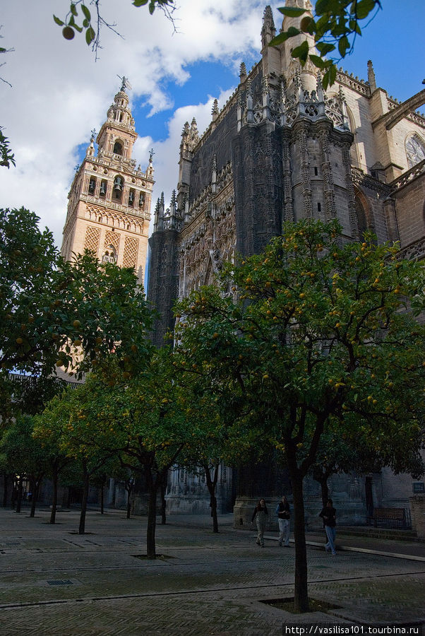 Самый большой готический собор мира - Catedral de Sevilla Севилья, Испания