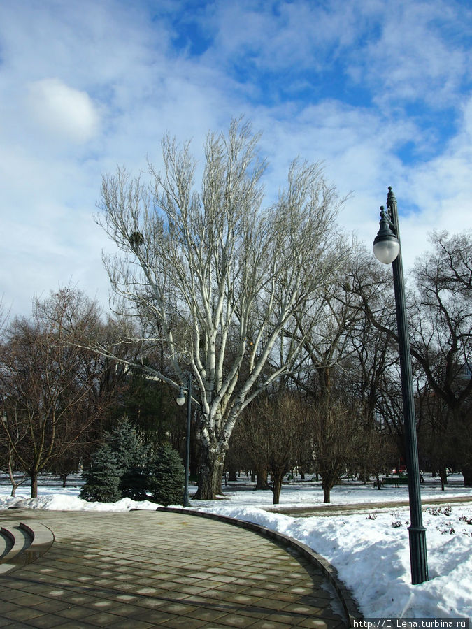 Центральный парк Кишинёв, Молдова