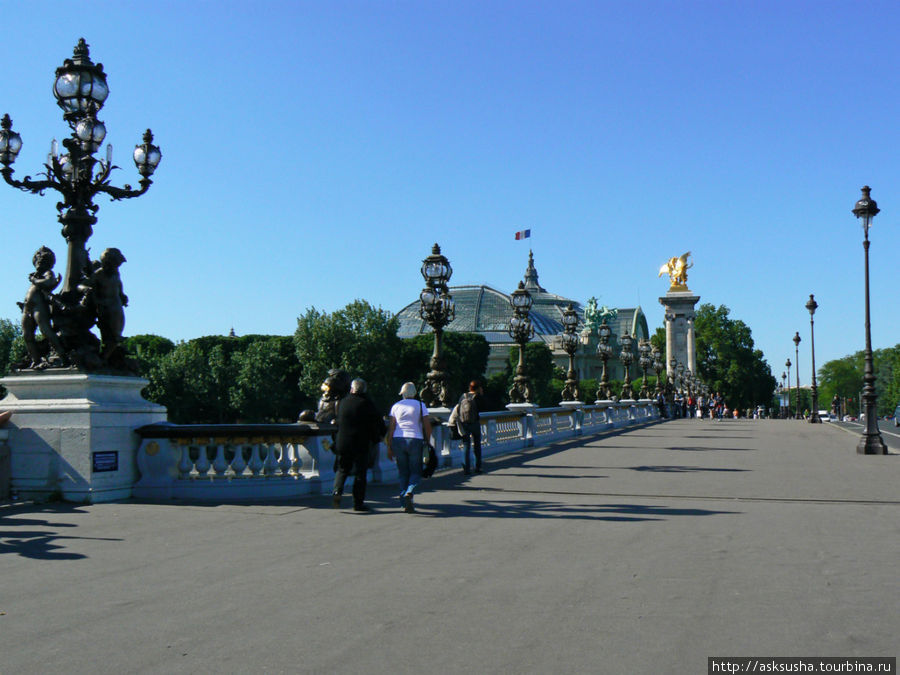 Мост назван в честь российского императора Александра III, подписавшего в 1892 г. военное соглашение с Францией. Первый камень в основание моста был заложен его сыном, императором Николаем II. Торжественное открытие моста было приурочено к Всемирной выставке 1900 г. Париж, Франция