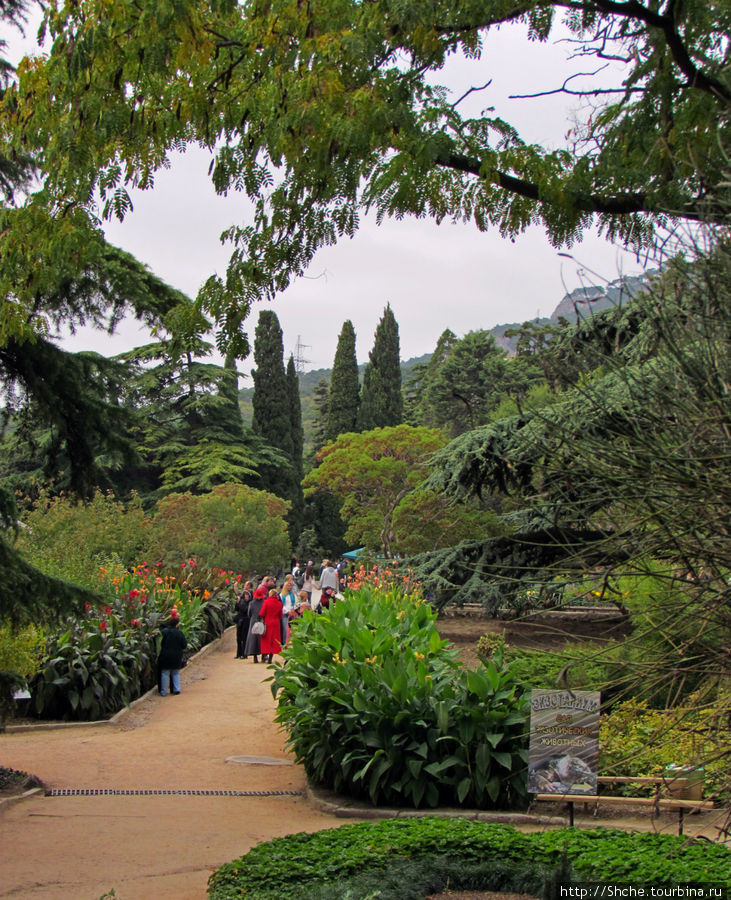 Ясный октябрьский день в Никитском ботаническом саду