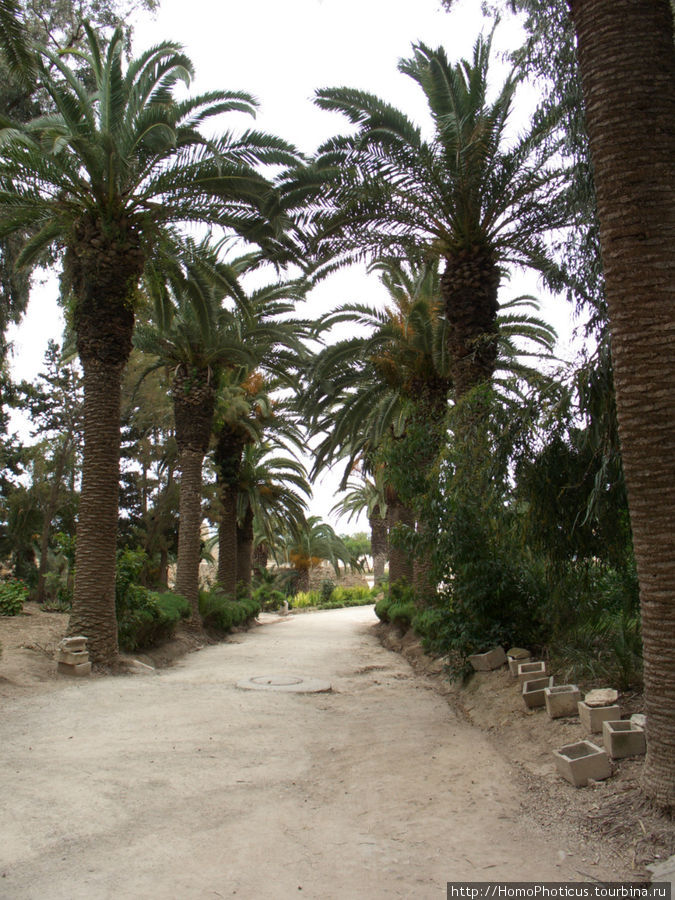 Карфаген Карфаген, Тунис