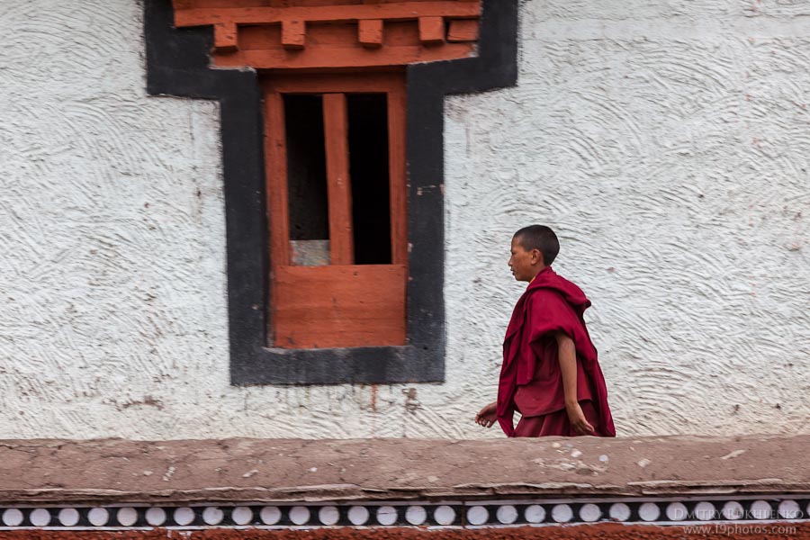 Фотоэкспедиция в Ладакх. День 2. Монастырь Хемис Лех, Индия