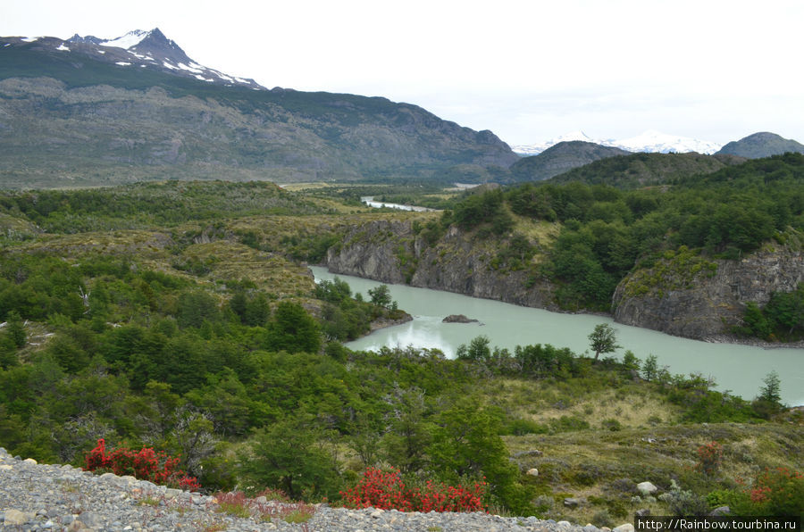 Река серо-молочного цвета Национальный парк Торрес-дель-Пайне, Чили