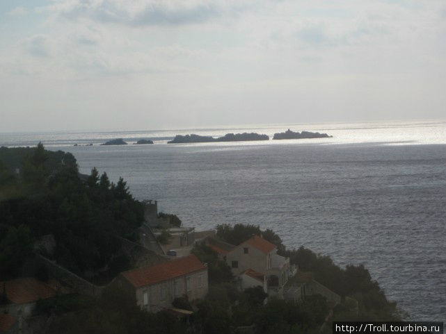 Целый выводок островов Далмация, Хорватия