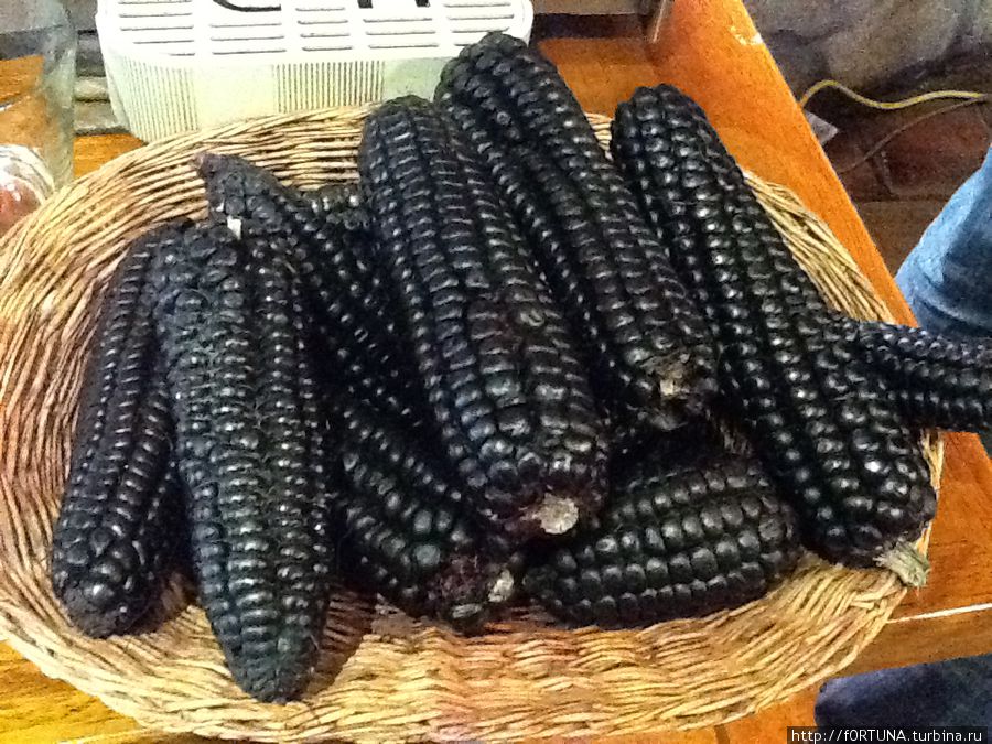 черная кукуруза Перу