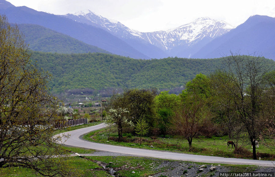 Дороги Кахетии Кахетия, Грузия