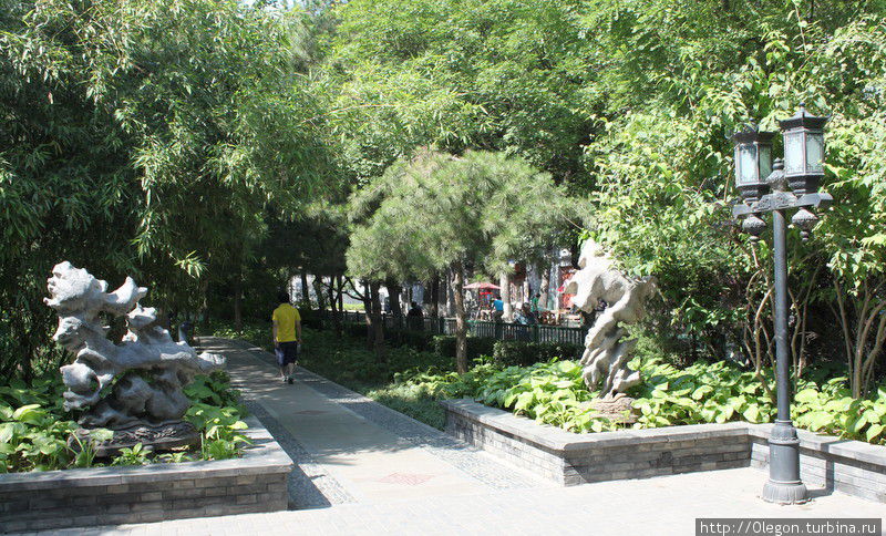 В городе много обычных, но зелёных парков Пекин, Китай