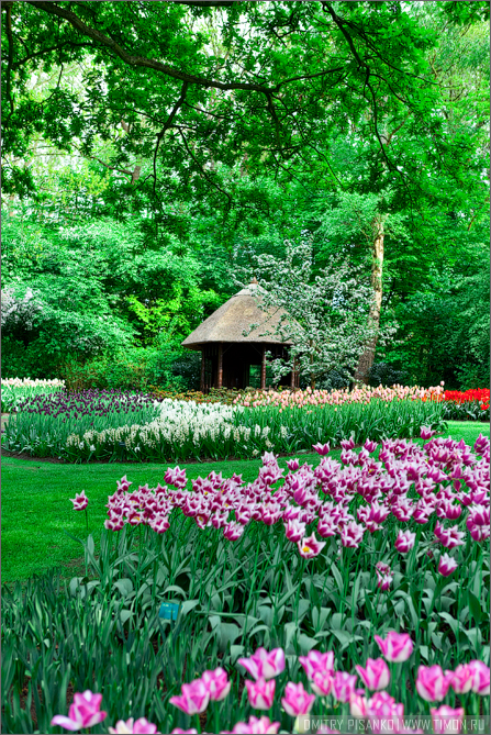 Королевский парк цветов в Нидерландах