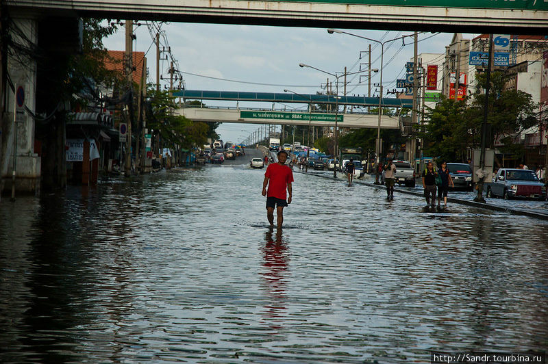 Рынок расположен в «сухой» зоне, но вокруг него по-прежнему вода. Бангкок, Таиланд