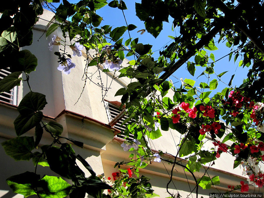 Дом стоит на холме, несколько на отшибе городка. Местечко уединенное, все очень зелено и спокойно. Гавана, Куба