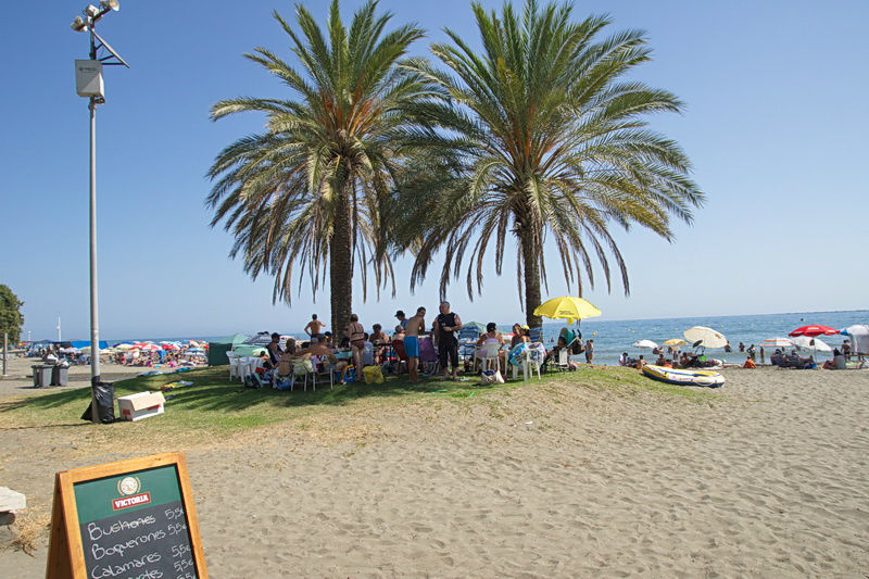 Тоже обычное дело — всей толпой под пальму! Едят, пьют, веселятся Малага, Испания