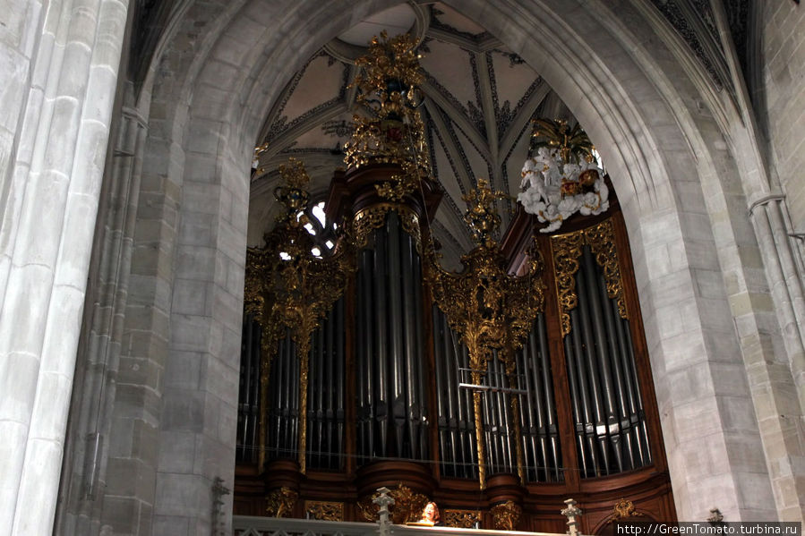 Смотровая Бернского собора Берн, Швейцария