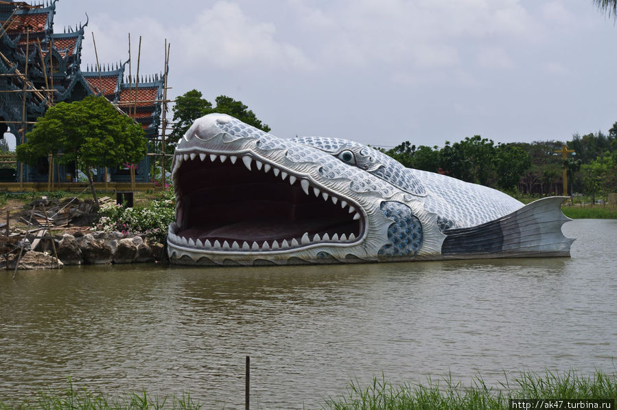 рыба Ananda Бангкок, Таиланд
