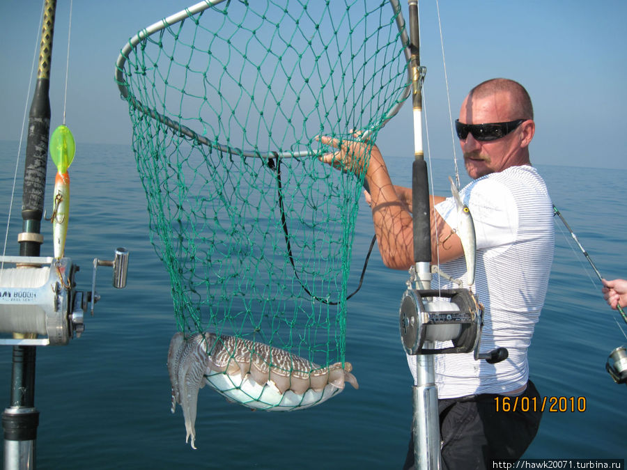 Рыбалка в Персидском Заливе. ОАЭ Аджман, ОАЭ