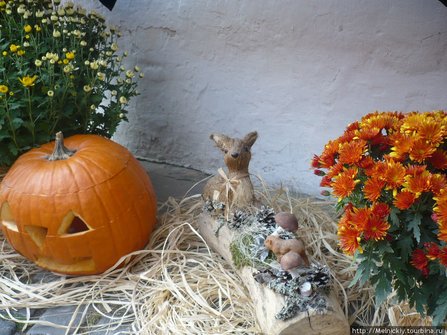 Прогулка по городу мастеров Сентендре, Венгрия
