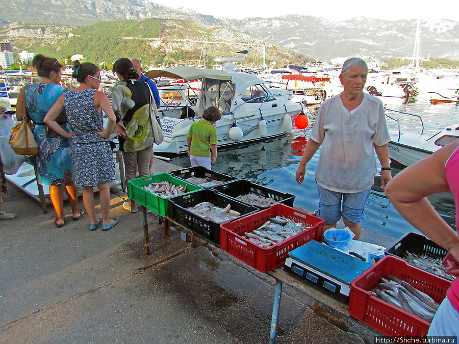 торговля свежепойманой рыбой Будва, Черногория