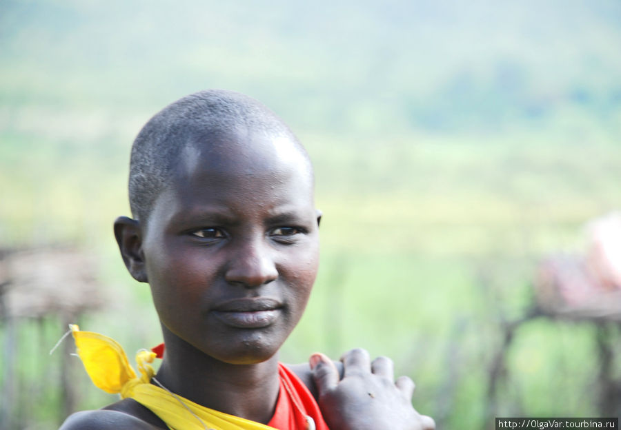 Первое, на что обращаешь внимание — на бритую голову женщины-масайки. Такая прическа, на мой взгляд, нисколько не уродует, а напротив подчеркивает природную красоту масайки. Чего стоят только ее естественные губы на зависть белолицым девицам,  накачивающим  свои  всякой гадостью Масаи-Мара Национальный Парк, Кения