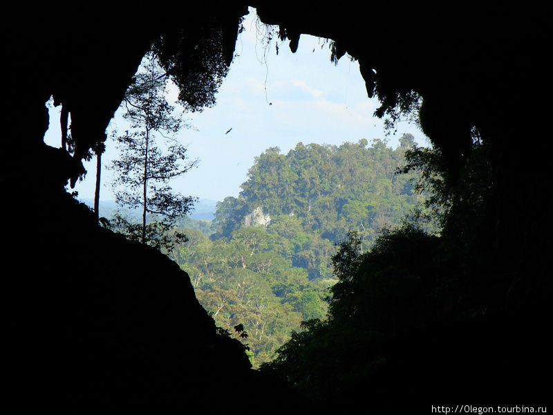Размеры пещер передать фотографией тяжело и внутри пещеры не подсвечены, но я попробовал сделать снимки, чтоб хоть с небольшой частью увиденного поделиться с вами Мири, Малайзия