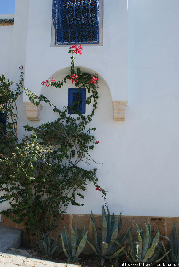Бело-голубой городок, или Из Андалусии с любовью Сиди-Бу-Саид, Тунис