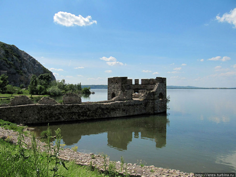 Голубац. По щиколотку в Дунае Голубац, Сербия