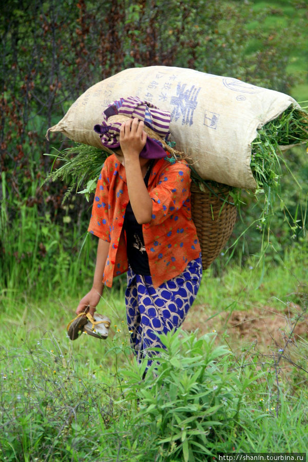 Мешки удобнее переносить на голове Штат Шан, Мьянма