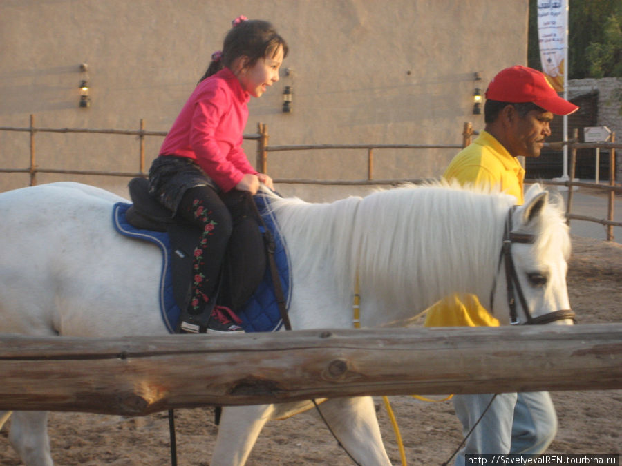 Детей катают на лошадях. Дубай, ОАЭ