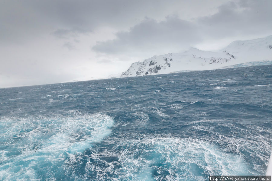 Пролив Дрейка и острова высадка в Бухте Янки Остров Кинг-Джордж, Антарктида