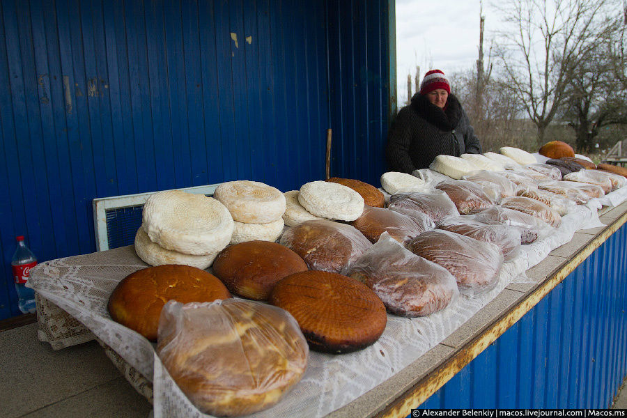 Как делают адыгейский сыр Майкоп, Россия