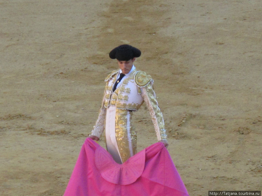 Арена для боя быков Валенсия, Испания